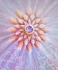 Inner-Radiance-600x500