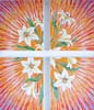 Mary and Forgiveness640069
